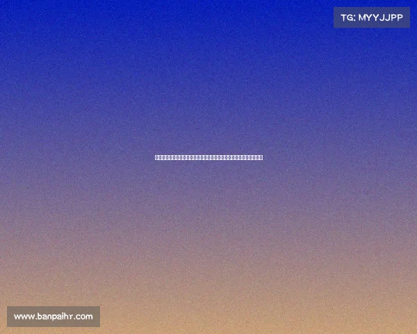 独家承办方赛事采访系列深度对话赛事组织者探讨策划执行与未来展望